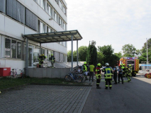 915-IMG_0346