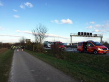 951-IMG_8436