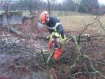 kettensaegenlehrgang 28 01 12 01