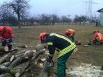kettensaegenlehrgang 28 01 12 04