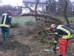 kettensaegenlehrgang 28 01 12 06