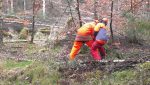 kettensaegenlehrgang 22 03 2014 08