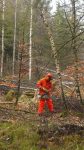 kettensaegenlehrgang 22 03 2014 10