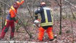 kettensaegenlehrgang 22 03 2014 11
